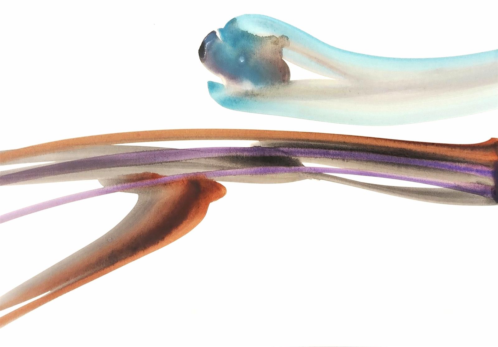 Le radici delle nuvole | 2025 | 29,7 x 42 | Acquarelli su carta